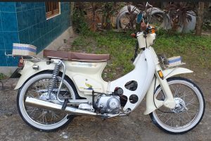 C70 Basic Krem