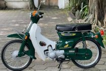 IKLAN - C70 Basic 800